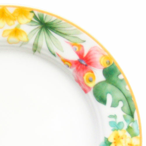 Exotica by Villeroy Boch Discontinued Collections