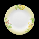 Villeroy & Boch Green Garland Salad Plate