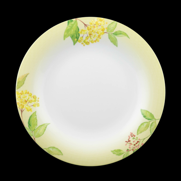 Villeroy & Boch Green Garland Dinner Plate