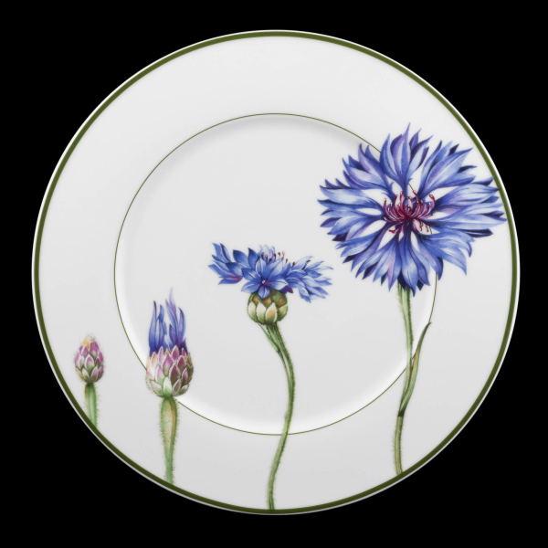 Villeroy & Boch Flora Platzteller Le Bleuet neuwertig