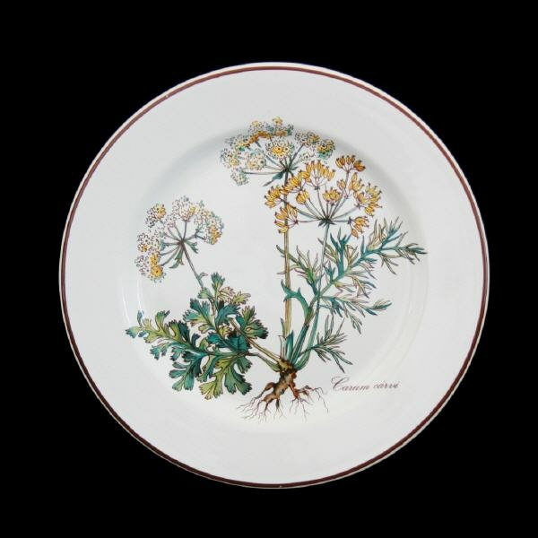 Villeroy & Boch Botanica Bread & Butter Plate with Root 2nd Choice