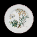 Villeroy & Boch Botanica Bread & Butter Plate...